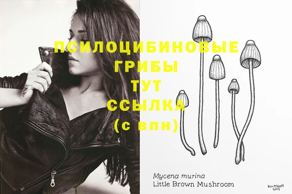 альфа пвп Кукмор