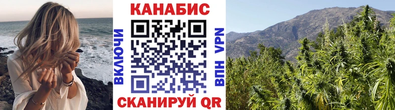 Конопля план  Купить где  Щёкино 